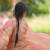 Barbiope B