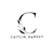 Caitlin Harvey