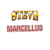 Steve Marcellus