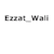 Ezzat Wali