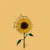JohnThumbnailer