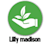 Lilly M