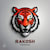 Rakesh R