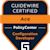 Guidewire C