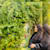 Ayesha Dar