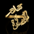 M. Shahzad