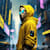 ShiftDesign
