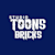 ToonBricks