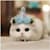 pandaa