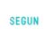 Segun Godwin