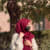 Javeria Aman