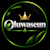 Oluwaseun