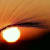 Iqrashakeel