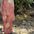 Farah