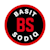 Basit S