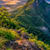 Pavani