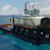 Moyo L