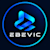 Ebevic T