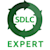 Sdlc Expert