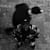 Grizzthekey