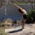 Yoga by L