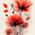 Samreen