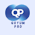 Qoyum P