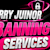 jerryjunior