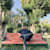 Uzair Naseem