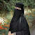 Habib ur Rehman