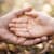 Ashira Palmist