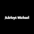 Adetoyi Michael