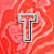 tatsuuoor