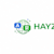 Hayzedfeez