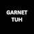 GARNET T