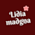 Lidia M