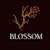 blossom