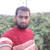 Sharif H
