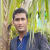 Ashikur Rahman