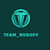 Team N