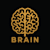 Brain