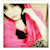 Asma K