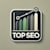 top seo