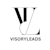 Visory L