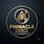 PinnacleDocs