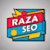 Raza Aslam