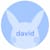 David N