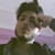 Razi