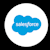 Salesforce Dev