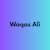 Waqas W
